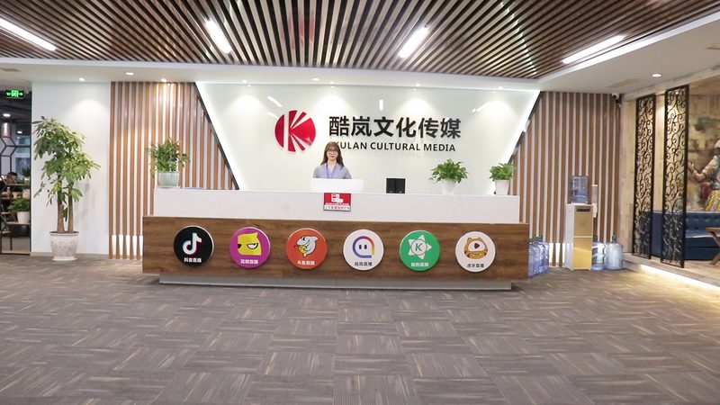 VI设计效果图：视觉规范解读与实战要点